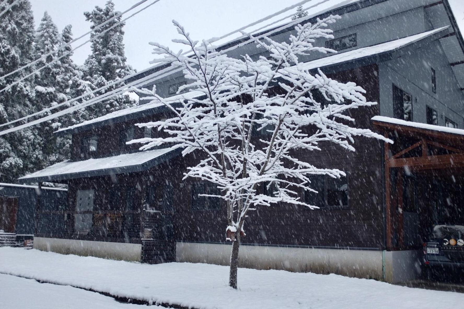 Bears Den Mountain Lodge Hakuba Kültér fotó